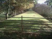 A finely manicured embankment at Chapel End on the branch from Stockingford (ahead, South East) to Ansley Hall coliery in November 2011.<br><br>[Ken Strachan 04/11/2011]