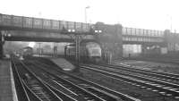 A gloomy north end at Carlisle station in late December 1968. The lineup consists of D5337 with the 1pm Carlisle - Edinburgh Waverley via Hawick, D190 with the 10.25am Leeds City - Glasgow Central via Dumfries and D8527, the north end station pilot that day.<br><br>[K A Gray 28/12/1968]