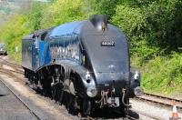 Fine of line. Sir Nigel Gresley's eponymous 60007 rests between turns at Grosmont on a beautiful Mayday 2011. Surely still an inspiration to all engineers that form and beauty can sit well with function. Think Gresley A4, Supermarine Spitfire, Ferrari, Ducati ... <br><br>[Brian Taylor 01/05/2011]