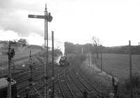 View south from the tall signal box at Reedsmouth on 9 November 1963 with the Border Counties route to Riccarton on the right and the Wansbeck Valley line to the left. Ivatt 2-6-0 no 43129 is in the process of running round the RCTS/SLS <I>'Wansbeck Wanderer'</i> railtour.<br><br>[K A Gray 09/11/1963]