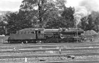 The class 50 2-10-0 was a low axle loading design built in considerable numbers (over 3,000) between 1938 and 1944. DB No. 051 441 (pre computer No. 50 1441), seen stabled at the south end of Rottweil shed yard in 1974, was a later example incorporating some simplifications to the design made during the war years eg single square cornered sandbox between the domes, single cab side window and running plate cut short of the cylinders.<br><br>[Bill Jamieson 04/09/1974]