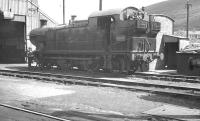 Shed scene at Abercynon in August 1960. Ex-GWR 0-6-2T no 5699 centre stage.<br><br>[K A Gray 12/08/1960]
