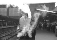 60019 <I>'Bittern'</I> stands at Carlisle platform 3 on 16 July 1967. The Pacific had recently arrived with the 9.40am ex-Leeds City RCTS (West Riding Branch) <I>'A4 to Glasgow'</I> railtour. The train continued to Glasgow Central via the WCML, returning south later that day via Dumfries.<br><br>[K A Gray 16/07/1967]