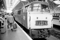 D1040 <I>Western Queen</I> stands at the buffer stops at Paddington station platform 1 in 1973.<br><br>[Bill Roberton //1973]