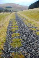 View north along the Talla Railway trackbed near Tweedsmuir on 26 December 2011. Amazingly not only has the trackbed's ballast survived here but the indentations from sleepers are still obvious, now grass-lined.<br><br>[Ewan Crawford 26/12/2011]