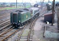 A busy scene at Craigentinny carriage sidings on Bank Holiday Monday, 26 May 1958, with A4 Pacific no 60024 <I>'Kingfisher'</I> in the foreground.<br><br>[A Snapper (Courtesy Bruce McCartney) 26/05/1958]