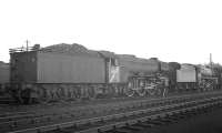 A3 Pacific no 60041 <I>Salmon Trout</I> stands in Kingmoor shed yard on 17 October 1964.<br><br>[K A Gray 17/10/1964]