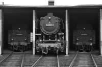 The locomotive shed at Weiden, a junction on the Regensburg to Hof line, with almost everything stabled under cover on Sunday 25 August 1974. Class 044 No. 044 247 stands with its nose poking out of the roundhouse.<br><br>[Bill Jamieson 25/08/1974]