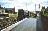 Platform view looking east at Joppa station in August 1957. Someone who looks like an intending passenger, possibly an Edinburgh bound commuter, stops to watch an express pass by on its way to Waverley behind Class A1 Pacific no 60135 <I>'Madge Wildfire'</I>. (I wonder if he knew the Snapper?)<br><br>[A Snapper (Courtesy Bruce McCartney) 23/08/1957]