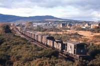 The daily Lairg-Inverness trip freight, hauled by a Class 24, approaches the site of the soon to be re-opened Alness station on 24th October 1972.<br><br>[Frank Spaven Collection (Courtesy David Spaven) 24/10/1972]