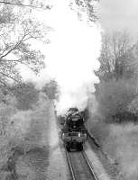 A special run to mark the 125th Anniversary of the East Kilbride branch on 31 October 1993. The ScotRail/SRPS excursion from Glasgow Central is pictured near Thorntonhall behind Black Five no 44871 <I>Sovereign</I>.<br><br>[Bill Roberton 31/10/1993]