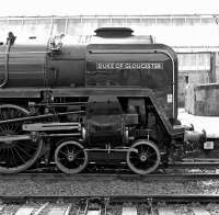 Steam specials arriving in Carlisle usually loiter long enough to allow a few close up studies - such as this one of Duke of Gloucester's front end following its arrival on The Cumbrian Coast Explorer from Crewe on 3rd July 2010<br><br>[Bill Jamieson 03/07/2010]