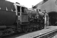 Giesl ejector fitted Kriegslok No. 52 7012 is seen in repose in front of the shed building at Vienna East MPD on a sunny late August day in 1974.  <br><br>[Bill Jamieson 30/08/1974]