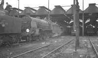 Scene on Salisbury shed in August 1960, featuring Class S15 4-6-0 no 30509.<br><br>[K A Gray 09/08/1960]