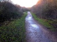 This curve from the MR Ashby-Birmingham route [see image 26581] into the WCML and Nuneaton Trent Valley (former) platform 5 makes a pleasant footpath or cycleway - and, mercifully, will not be demolished to make way for the new North Chord! [See image 36137]<br><br>[Ken Strachan 18/12/2011]