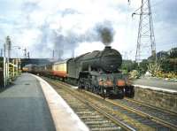 <I>Well, well, if it isn't The Snapper.... </I>  (No, not that one, the other one.) Gateshead V2 2-6-2 no 60809 <I>'The Snapper, The East Yorkshire Regiment, The Duke of York's Own'</I> heading south through Joppa on 24 August 1957 on the way home.<br><br>[A Snapper (Courtesy Bruce McCartney) 24/08/1957]