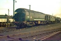 Locomotive lineup in the shed yard at Polmadie on 16 May 1959 includes Metropolitan - Vickers Type 2 locomotives (BR Class 28) D5705 and D5709, with Standard Pacific 72000 <I>'Clan Buchanan'</I> and Standard class 4 2-6-4T 80085 standing beyond. D5705 has since been preserved and can be seen on the East Lancashire Railway [see image 18211].<br><br>[A Snapper (Courtesy Bruce McCartney) 16/05/1959]