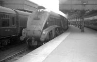 The 1.30pm train for Glasgow Buchanan Street waiting to leave Aberdeen on 16 May 1964. Locomotive in charge is A4 Pacific no 60006 <I>'Sir Ralph Wedgwood'</I>.<br><br>[K A Gray 16/05/1964]