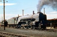 Appropriately named A1 Pacific no 60160 <I>'Auld Reekie'</I> gives a virtuoso performance on Haymarket shed in the summer of 1959.<br><br>[A Snapper (Courtesy Bruce McCartney) 04/07/1959]