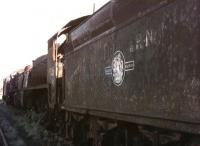 Lineup of withdrawn locomotives in Woodham's scrapyard at Barry in 1974, with a sorry-looking S15 4-6-0 no 30825 nearest the camera. Fortunately, the story has a happy ending [see image 21236]. <br><br>[Ian Dinmore //1974]