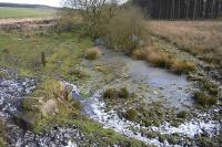 View east from the B915 road along the flooded cutting of the West of Fife Mineral Railway's Gask branch in January 2012.  On the left is a bridge abutment with a length of rail propped against it.  A hundred years ago this was the terminus of the branch, with a transhipment platform connecting to a 'tramline' to Rescobie limestone quarry.  Previously the line had continued to a triangular junction at Lassodie, near Kelty.  Behind the camera is the former RN yard at Lathalmond from which rail traffic was withdrawn in 1971. The location is now the home of the Scottish Bus Museum and the Shed 47 Group.<br><br>[Bill Roberton 05/01/2012]