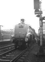 Photostop at Wigan North Western on 25 November 1967 for the MRTS <i>Mancunian</i> (aka the <i>Lancs & Yorks Rambler</i>) from Leeds City. Locomotive in charge is A4 Pacific no 60019 <I>Bittern</I>.<br><br>[Robin Barbour Collection (Courtesy Bruce McCartney) 25/11/1967]