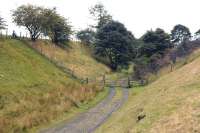 The trackbed of the Bishop Auckland - Barnard Castle line in a cutting on the western edge of Cockfield Fell, looking south west in September 2010. The general formation and cutting sides still look fairly neat, given the photograph was taken 58 years after closure.<br><br>[Brian Taylor 13/09/2010]