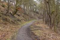 Running south from Cardenden Station is the steeply-sided, woodend glen of Carden Den, seen here in February 2012. Along the eastern slopes ran a horse-drawn 'tramway' serving a small mine. It appears on the Ordnance survey maps of 1856 and 1895, but is gone by 1915. a A trans-shipment siding ran off the NBR to the east of Cardenden station. [See image 37612]<br><br>[Bill Roberton 11/02/2012]