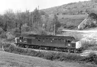 The EE Type 4 could hardly be described as a compact design, as demonstrated by this near broadside view of No. 40098 proceeding light engine in the Barrow direction near Silverdale on a sunny Sunday in May 1976<br><br>[Bill Jamieson 09/05/1976]