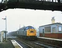 40160 about to pass through Kingsknowe with a freight on on a misty morning in May 1981 heading east.<br><br>[Peter Todd 10/05/1981]