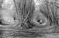 The trackbed of the Maidens and Dunure light Railway looking west at Alloway in 2001. Straight on for Heads of Ayr, up the incline for the higher-level goods yard (now occupied by a new road and the Burns Heritage Museum). <br><br>[Colin Miller //2001]