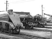 Black 5 No. 44871 might be on home territory at Steamtown, Carnforth, but, flanked by <I>'Sir Nigel Gresley'</I> and <I>'Flying Scotsman'</I> in May 1977, it's the one that looks slightly out of place.<br><br>[Bill Jamieson 08/05/1977]