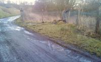 Rail still visible in the road at the former Lathalmond level crossing in February 2012 looking north east. The gates giving rail access to the Royal Naval Stores Depot were straight ahead - note the surviving gatepost. [See image 37667]<br><br>[Grant Robertson 12/02/2012]