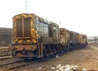 More condemned diesel locomotives - Stratford, April 1969. [See image 37440]<br><br>[John Furnevel 30/04/1969]