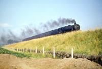 An Edinburgh Princes Street - Stirling train passing through Broomhouse in Edinburgh's western suburbs in the summer of 1959. In charge is Black 5 no 45084 of 63B Stirling shed.<br><br>[A Snapper (Courtesy Bruce McCartney) 25/07/1959]