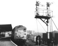 One of Stratford's Brush Type 2 locomotives no D5517 brings a lengthy North London Line freight through Willesden Junction High Level station in March 1969. The train is signalled for Mitre Bridge/North Pole Junctions and the link to the West London Line.<br><br>[John Furnevel 04/03/1969]