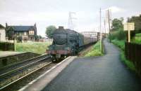 The down <I>'Flying Scotsman'</I> passing Joppa on 6 August 1959. A3 Pacific no 60060 <I>The Tetrarch</I>.<br><br>[A Snapper (Courtesy Bruce McCartney) 06/08/1959]