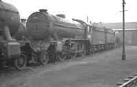 The well occupied shed yard at Colwick on Saturday 30 September 1961, with Gresley K3 2-6-0 no 61907 amongst the locomotives present for the weekend.<br><br>[K A Gray 30/09/1961]