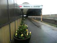 Platform scene at Stranraer Harbour on 6 March 2012. The efforts of Louis Wall's station adoption group are certainly brightening up what might otherwise be a fairly gloomy scene on such a day.<br><br>[John Yellowlees 06/03/2012]