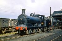 Scene at 64E Polmont on a sunny Saturday morning in August 1959 with J36 0-6-0s 65222 <I>Somme</I> and 65257 on shed.<br><br>[A Snapper (Courtesy Bruce McCartney) 15/08/1959]