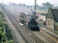 Corkerhill shed's Standard class 5 4-6-0 no 73123 runs north light engine through Lochside in August 1959.  <br><br>[A Snapper (Courtesy Bruce McCartney) 21/08/1959]