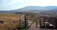 Looking south towards Ribblehead Viaduct and the slopes of Ingleborough on 18 April 2011, with Ribblehead Station and the Inn to the left.<br><br>[Andrew Wilson 18/04/2011]