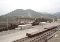 A view from Pocinho station approach across the goods yard to the the narrow gauge viaduct over the River Douro that until 1988 carried the Sabor line, which ran for 60 miles into the north east corner of Portugal. In the foreground are two wagons that are used to carry the surviving cement traffic on the broad gauge Douro Valley line from Porto. Just behind the cement pallets are the rusting remains of E213, a metre gauge Mallet 2-4-6-0T used on the Sabor line until freight finally ended in 1988. <br><br>[Mark Bartlett 05/02/2007]