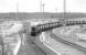 Having just propelled its train of coal out of Monktonhall Colliery, 08411 draws forward from the former Bilston Glen branch towards Millerhill Yard on 27 February 1995. In the backround is the disused ECML Electrification Yard which utilised the Waverley Route sidings.<br><br>[Bill Roberton 27/02/1995]
