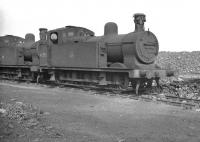 Jinties on Darlington shed awaiting admission to the works, thought to be in 1960. No 47572 was reallocated from Wakefield to Lostock Hall that year, from where it was finally withdrawn in May 1962. It is recorded as being cut up at Cashmore's, Great Bridge, in June 1963. [With thanks to Messrs Bartlett, Todd, Petrie, Jamieson, Smith and Pesterfield] <br><br>[K A Gray //1960]