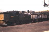 A Summer's day at Ballinluig Junction in 1961 sees ex-Caledonian Railway 0-4-4 tank No. 55217 shunting coal wagons off the Aberfeldy branch. [See image 46095]<br><br>[Frank Spaven Collection (Courtesy David Spaven) //1961]