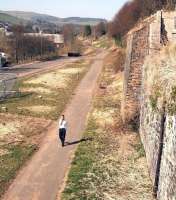 Nothing like a stroll in the shade on a hot day. View towards Edinburgh along the Waverley trackbed at the north end of Galashiels on 26 March 2012. This view from the footbridge at Low Buckholmside shows the tree clearance undertaken in connection with the Borders Railway project. [See image 4022]   <br><br>[John Furnevel 26/03/2012]