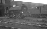 Scene in the shed yard at Colwick on 28 August 1960. Nearest the camera is  class J94 0-6-0ST no 68033, with L1 2-6-4T no 67707 standing alongside.<br><br>[K A Gray 28/08/1960]