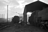 View of an industrial Belfast long since gone, taken on 6 December 1969. The shed on the right was the only covered accommodation available at York Road depot for the handful of 'Jeep' 2-6-4Ts retained for working M2 motorway spoil trains. All the locos visible here - from l to r Nos. 5, 4 and 50 - were still active at the time and in steam, even though it was a Saturday with nothing moving. <br><br>[Bill Jamieson 06/12/1969]