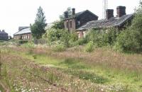 The overgrown former London Road station, Carlisle, viewed from the east in May 2003. London Road itself (A6) can be seen running past the site in the left background. [See image 38289]<br><br>[John Furnevel 25/05/2003]